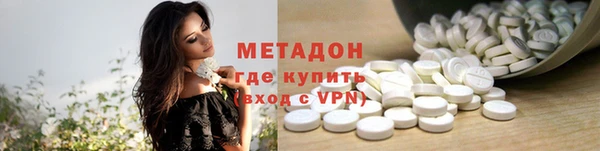 прущие грибы Белокуриха