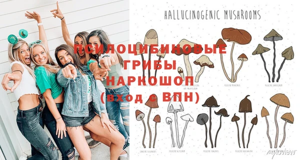 прущие грибы Белокуриха