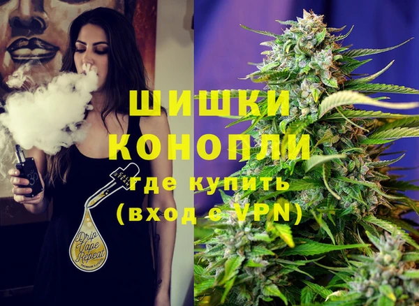 прущие грибы Белокуриха