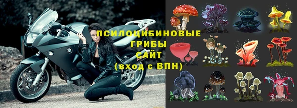 мяу мяу кристалл Богданович