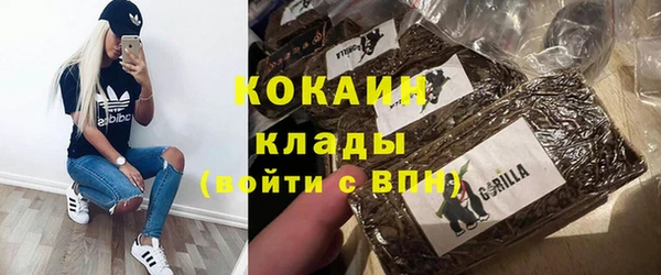 прущие грибы Белокуриха