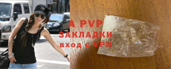 индика Белоозёрский
