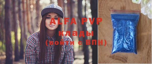 индика Белоозёрский