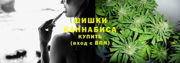 мяу мяу кристалл Богданович
